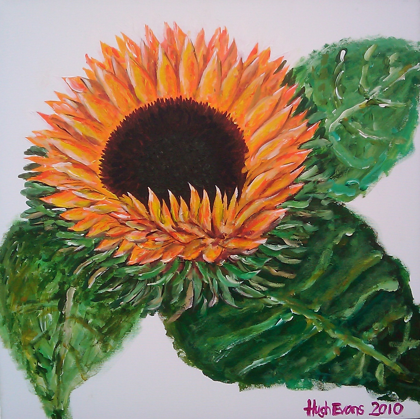 Sunflower Acrylic Aut 2009