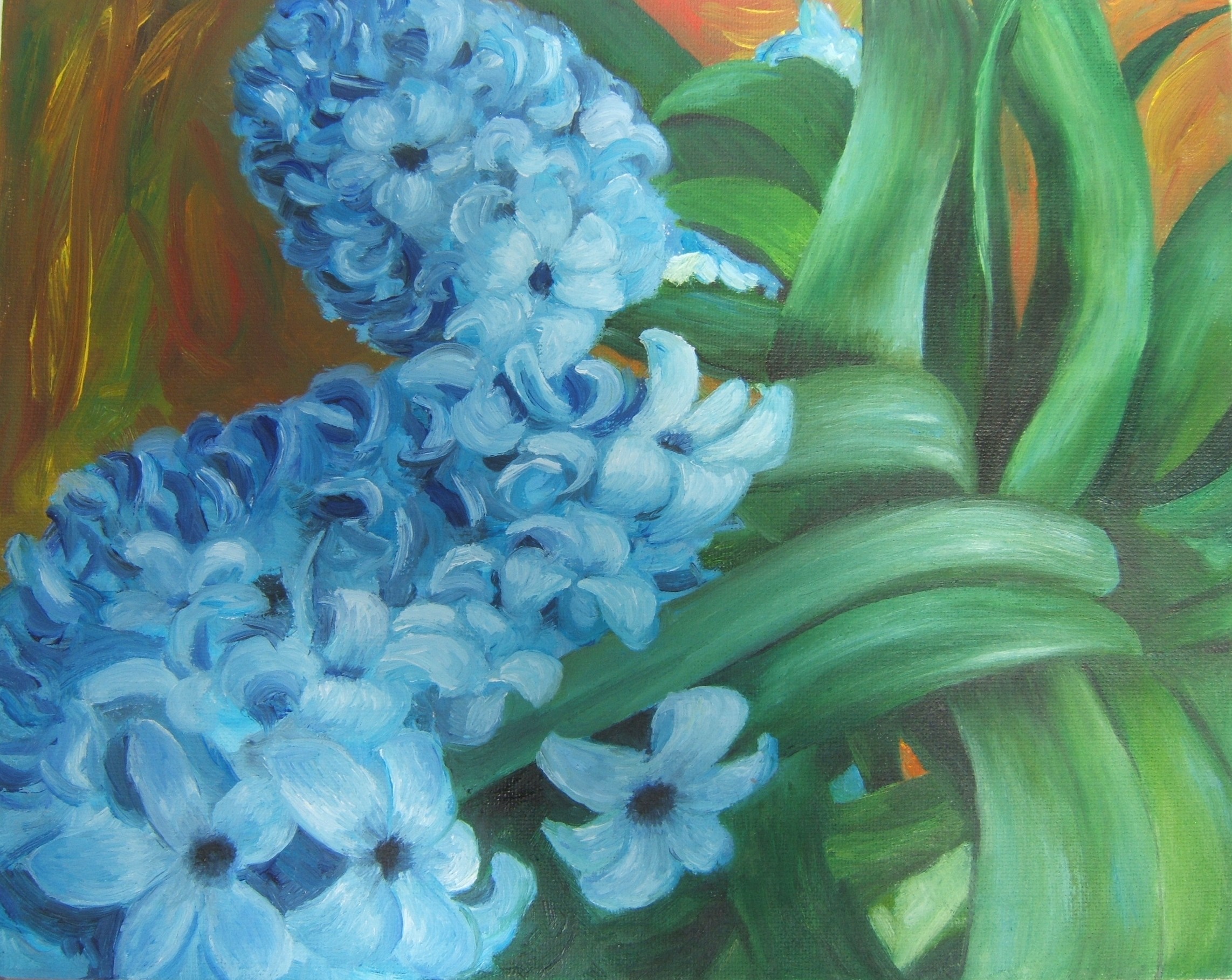 Hyacinths Oil Feb 2010